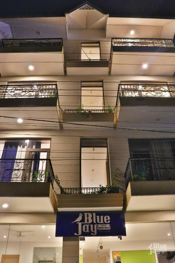 The Blue Jay Hostel - Dorms & Rooms Rishīkesh Exteriör bild